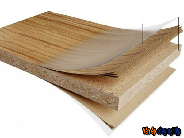 Phân loại ván gỗ ép công nghiệp phổ biến nhất hiện nay