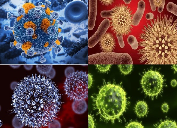 Hình ảnh một số loại virus gây bệnh ngoài da