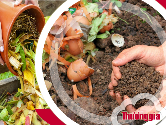 Cách làm phân bón hữu cơ tại nhà tiết kiệm và an toàn