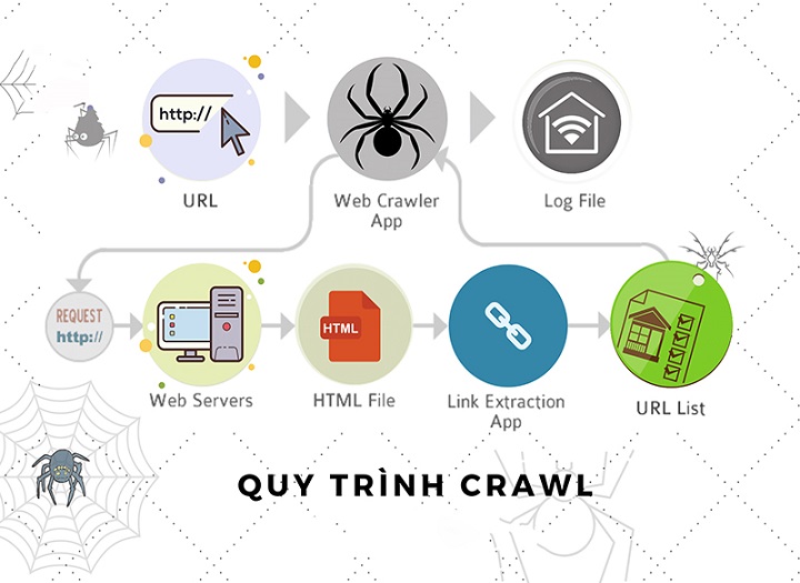 Crawl dữ liệu website là gì? Cách Googlebot crawl website của bạn