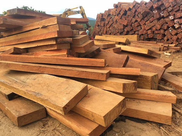 Gỗ công nghiệp và gỗ tự nhiên có gì nổi bật?