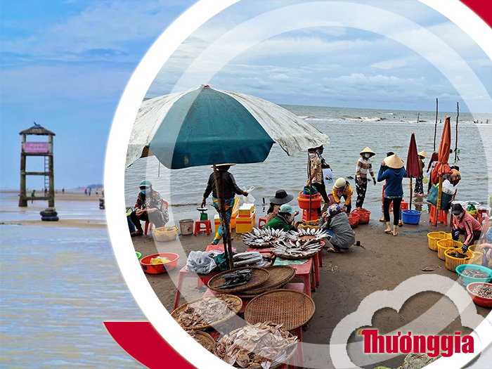 Mua hải sản ở biển Thạnh Phú Bến Tre