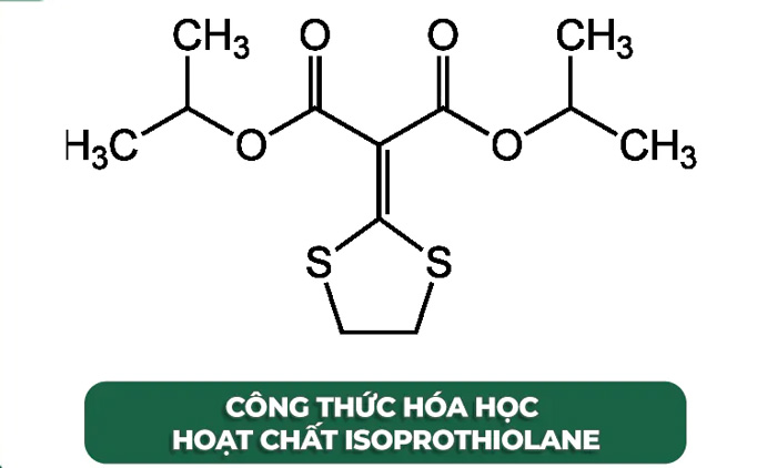 Công dụng hoạt chất isoprothiolane và tricyclazole đối với đạo ôn lúa