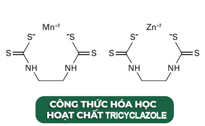 Công dụng hoạt chất isoprothiolane và tricyclazole đối với đạo ôn lúa