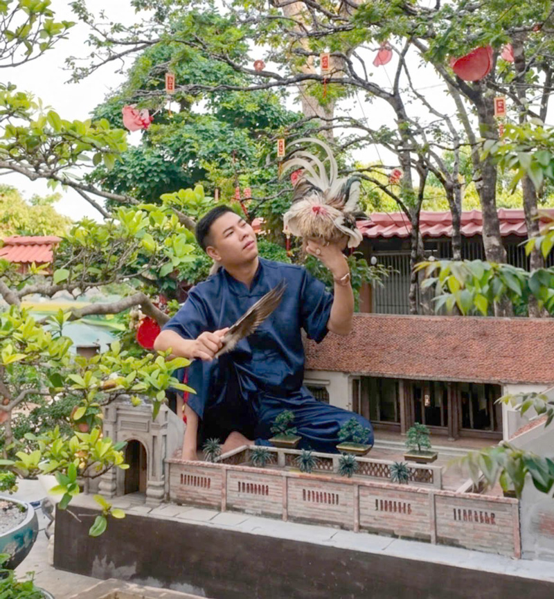 Gửi tâm huyết vào từng dáng thế, thu trái ngọt từ nghề cây