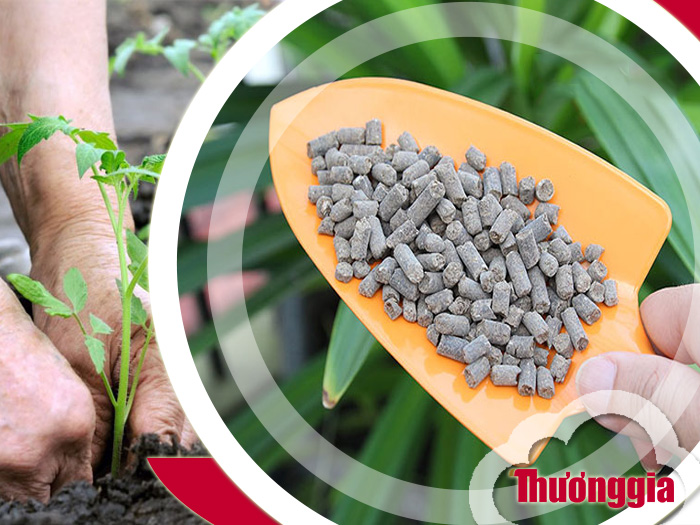 Tìm hiểu các loại phân bón hữu cơ trong nông nghiệp