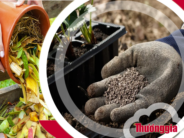 Phân bón hữu cơ là gì? Khái niệm và ứng dụng thực tế