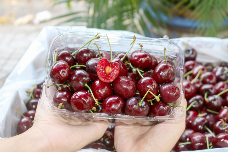 Quả cherry bao nhiêu tiền 1kg và thời điểm nào mua rẻ nhất?