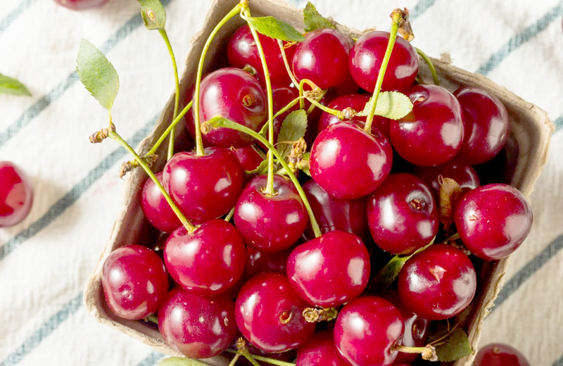 Trái cherry là trái gì? Nguồn gốc trái cherry và các giống phổ biến