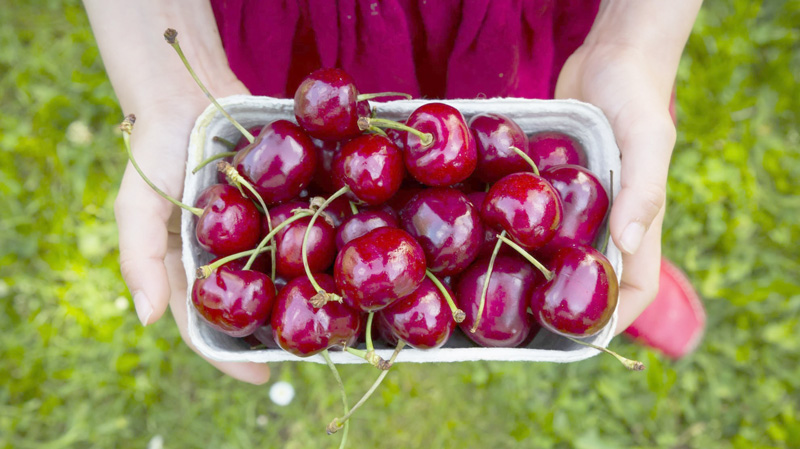 Trái cherry có bổ máu không dựa trên phân tích thành phần sắt và vitamin?