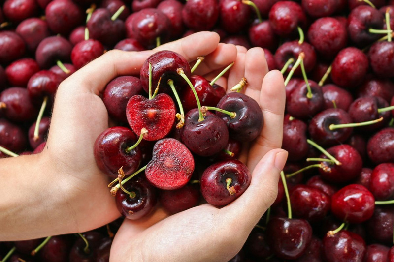 Trái cherry có tác dụng gì và có nên ăn thường xuyên không?