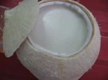 Cách làm rau câu trái dừa có gì đặc biệt - Báo Thương Gia