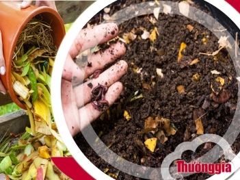 Cách làm phân bón hữu cơ tại nhà tiết kiệm và an toàn