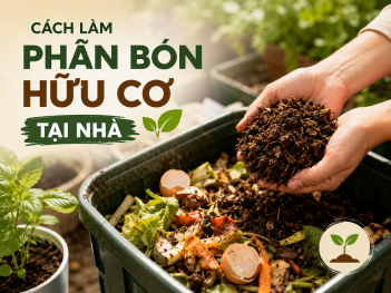 Cách làm phân bón hữu cơ tại nhà