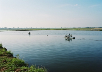 Kỹ thuật nuôi tôm thẻ chân trắng trong ao đất ít dịch bệnh - Báo Thương Gia