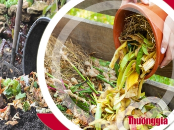Hướng dẫn làm phân bón hữu cơ từ rác thải sinh hoạt
