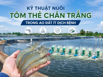 Tác giả Bùi Diệu Ánh Dương