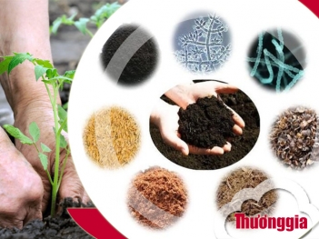 Tìm hiểu các loại phân bón hữu cơ trong nông nghiệp