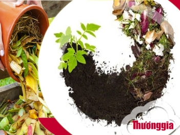 Phân bón hữu cơ là gì? Khái niệm và ứng dụng thực tế