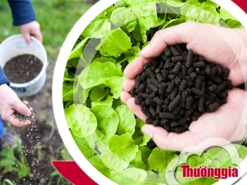 Top loại phân bón hữu cơ sinh học tốt nhất hiện nay