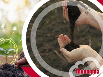 So sánh phân bón hữu cơ truyền thống vs phân bón hiện đại