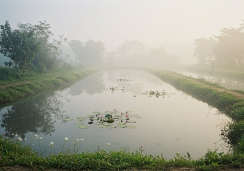 Quy trình nuôi cá rô phi đúng kỹ thuật giúp cá lớn nhanh khỏe mạnh - Báo Thương Gia