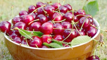 Trái cherry có tác dụng gì và có nên ăn thường xuyên không? - Báo Thương Gia