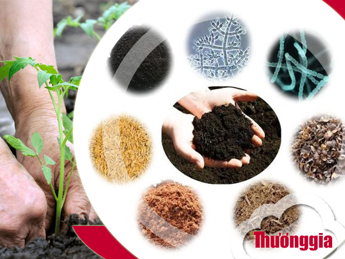 phân bón hữu cơ gồm những loại nào